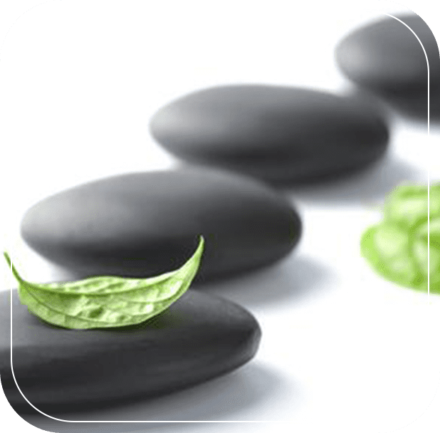 A row of black stones with green leaf on them.